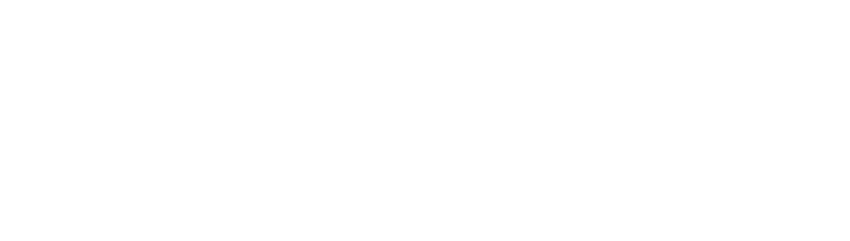 Unipegaso Logo White 1